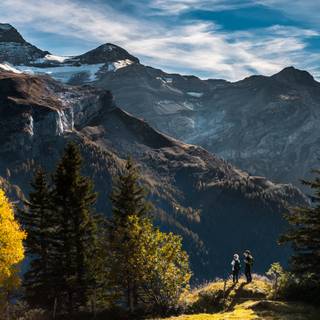 Summer views wallpaper