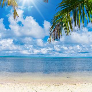 Summer portrait wallpaper