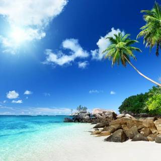 Summer portrait wallpaper