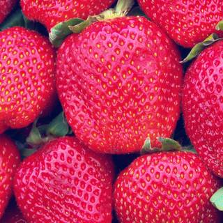 Spring fruit wallpaper