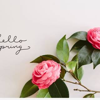 Hello spring aesthetic wallpaper