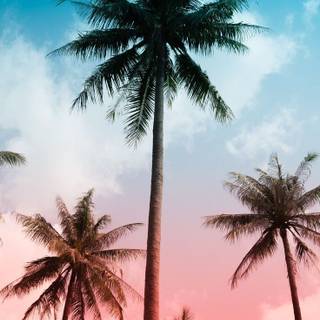 Summer portrait wallpaper