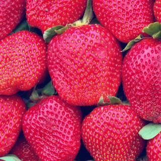 Spring fruit wallpaper