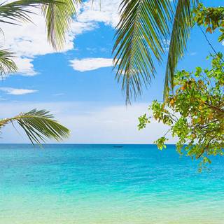 Summer portrait wallpaper