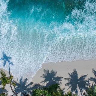 Summer views wallpaper