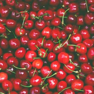 Spring fruit wallpaper