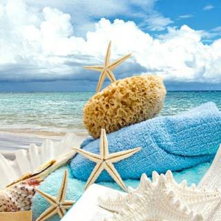 Summer portrait wallpaper