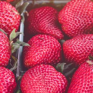 Spring fruit wallpaper