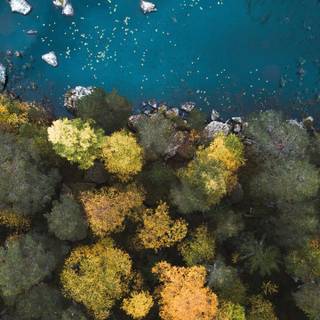 Nokia C2 phone wallpaper