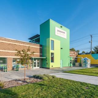 Spring board wallpaper