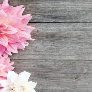 Spring board wallpaper