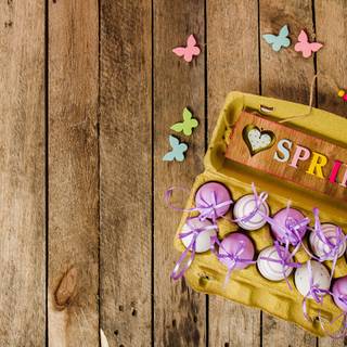 Spring board wallpaper