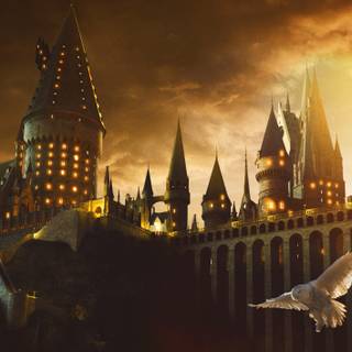 Harry Potter 4k desktop wallpaper