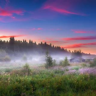 Morning summer wallpaper