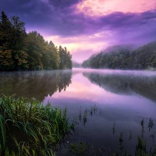 Morning summer wallpaper