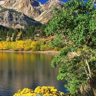 Spring mountain lake wallpaper