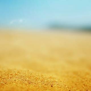 Hot yellow summer wallpaper