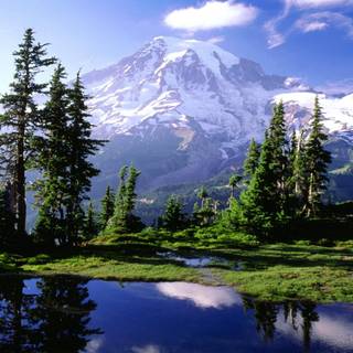 Spring mountain lake wallpaper