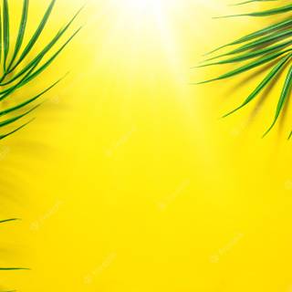 Hot yellow summer wallpaper