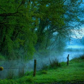 Morning summer wallpaper