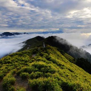 Spring nature 4k wallpaper