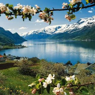 Spring mountain lake wallpaper