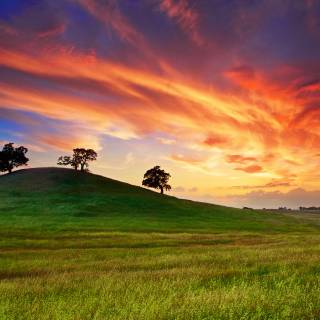 Spring sunset laptop wallpaper