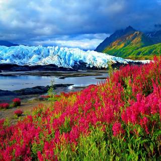 Spring mountain lake wallpaper