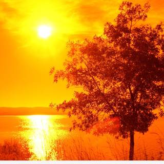 Hot yellow summer wallpaper