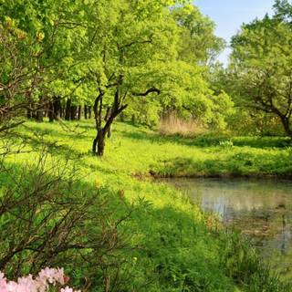 Spring 4k mobile wallpaper