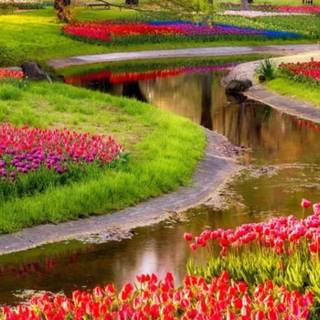 Spring 4k mobile wallpaper