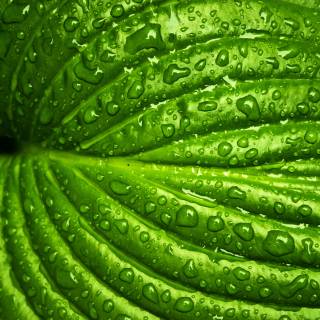 Spring nature 4k wallpaper