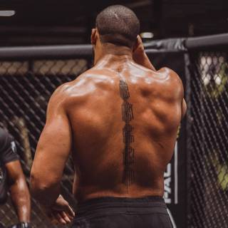 Ciryl Gane wallpaper