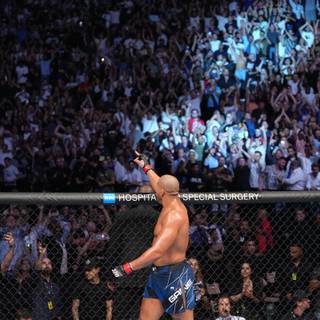 Ciryl Gane wallpaper