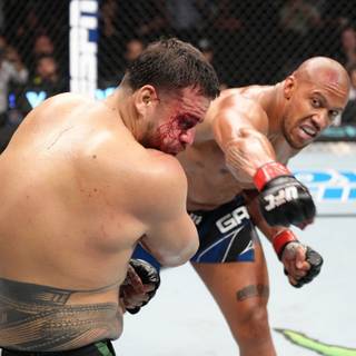 Ciryl Gane wallpaper