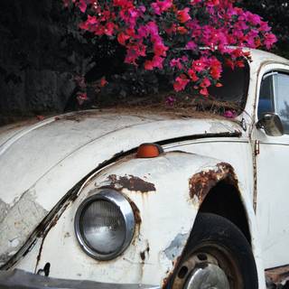 A rusty car wallpaper