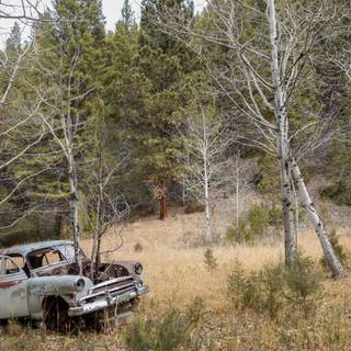 A rusty car wallpaper