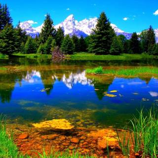 Color landscape wallpaper