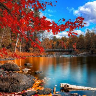 Color landscape wallpaper