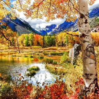 Color landscape wallpaper