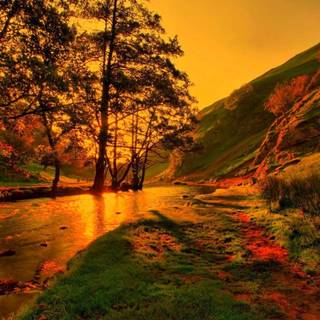 Color landscape wallpaper