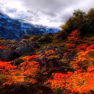 Color landscape wallpaper