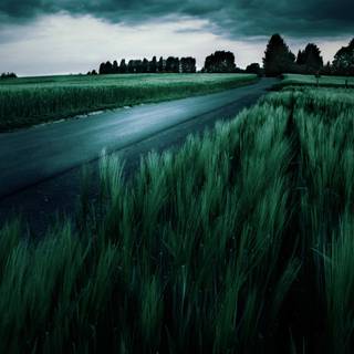 Color landscape wallpaper