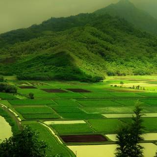 Color landscape wallpaper