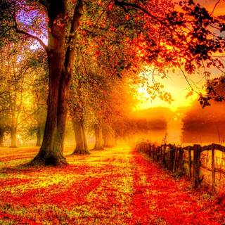 Color landscape wallpaper