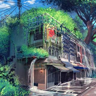 Anime woods wallpaper