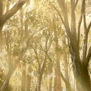 Anime woods wallpaper