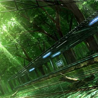 Anime woods wallpaper