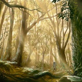 Anime woods wallpaper