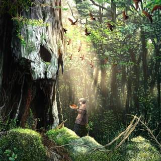 Anime woods wallpaper